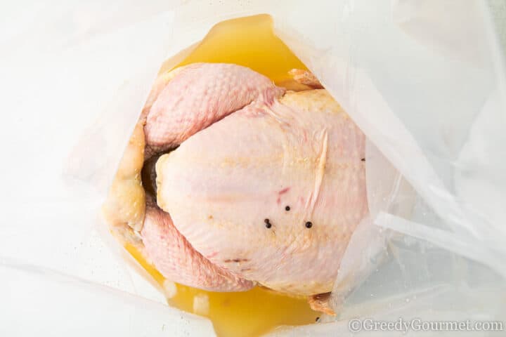 turkey in brining bag