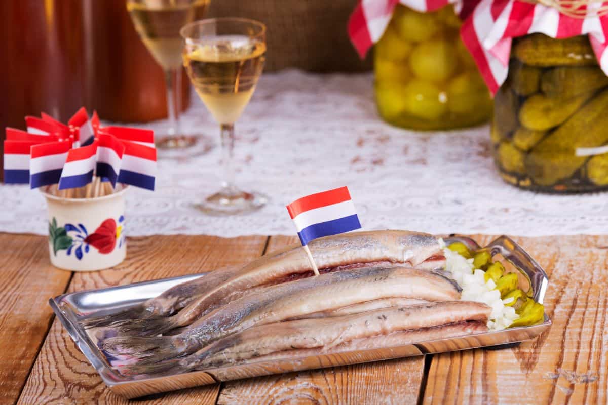 dutch herring.