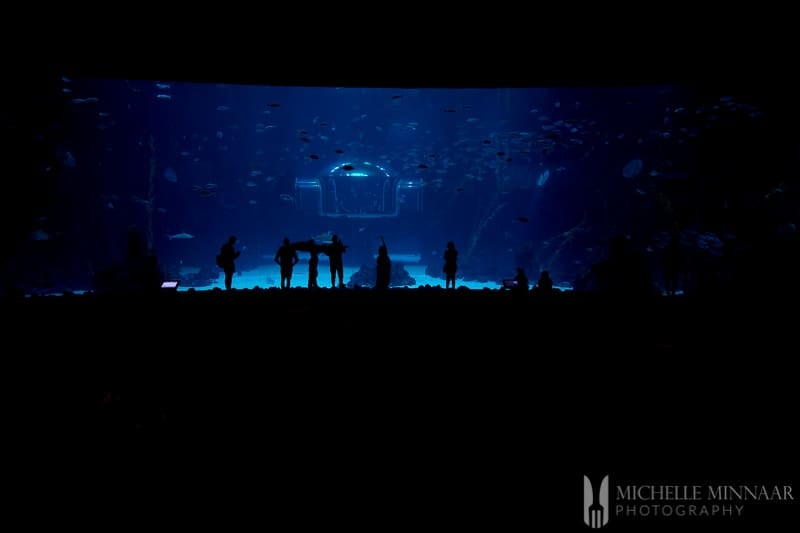 People's shadows looking at a giant fish tank 