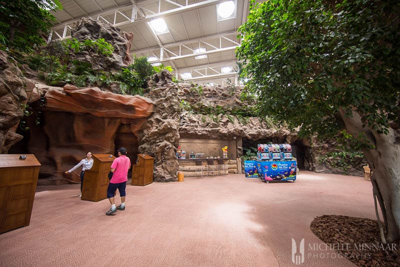 The inside of the aquarium, trees and wooden trees