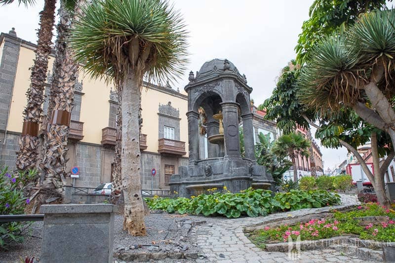 A grey statue with palm trees 