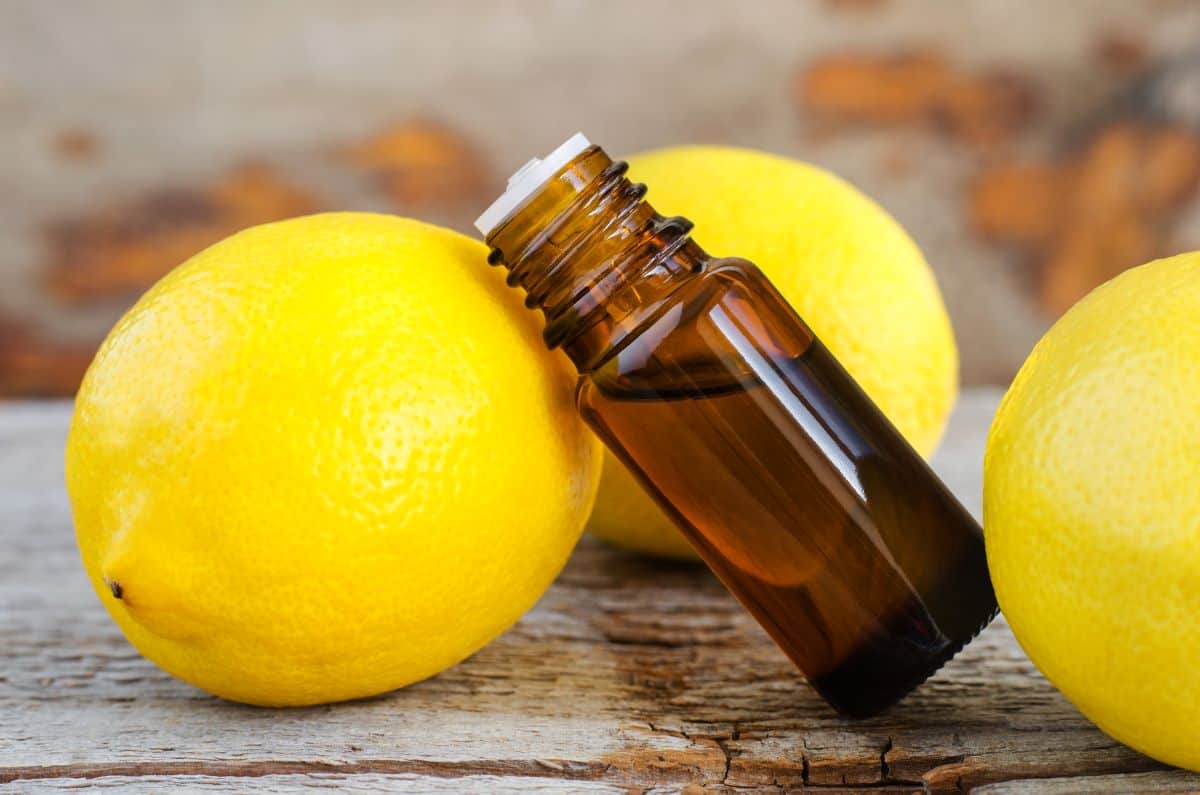 Close up of a small bottle of lemon extract leaning against a lemon.