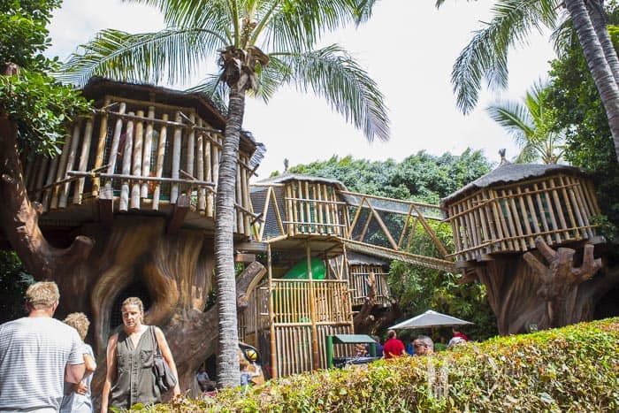 Wooden tree house