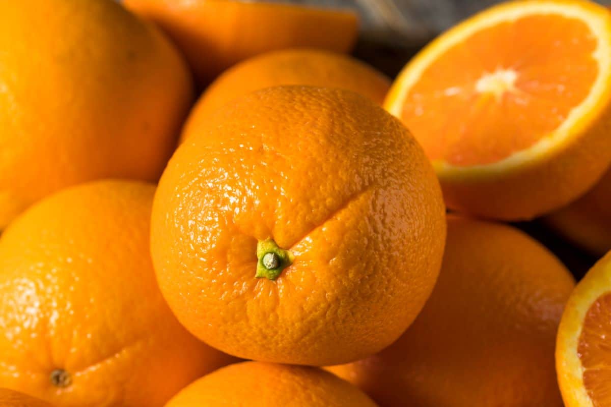 fresh navel oranges.