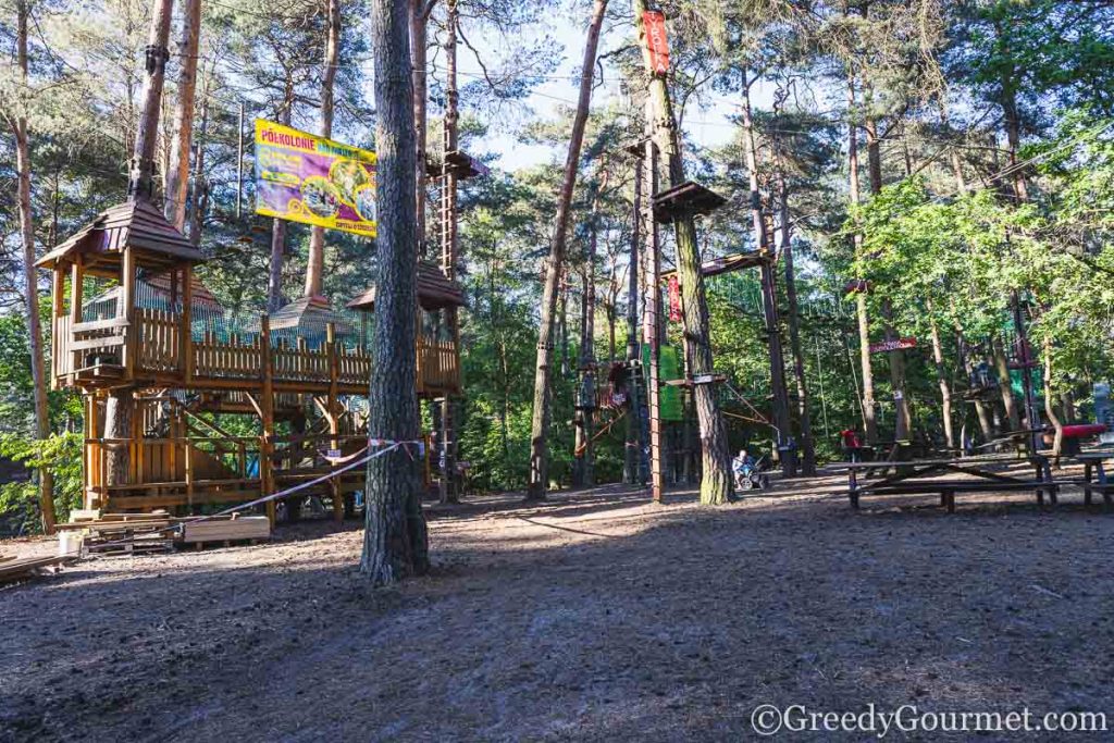 Treetop rope climbing at Pyland Park Linowy.