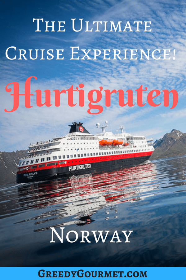 hurtigruten cruise pin