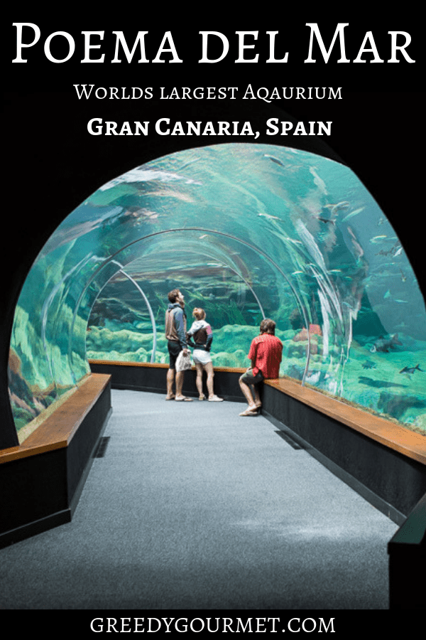 Poema del Mar, or Poem of the Sea, is the world's best aquarium. It has the largest state-of-the-art fish tank which is home to hammerhead sharks and more. 